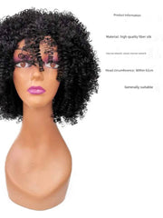 African Small Volume Corn Curler Exaggerated Foreigner Wig - Free Delivery Worldwide only at Flexi Africa