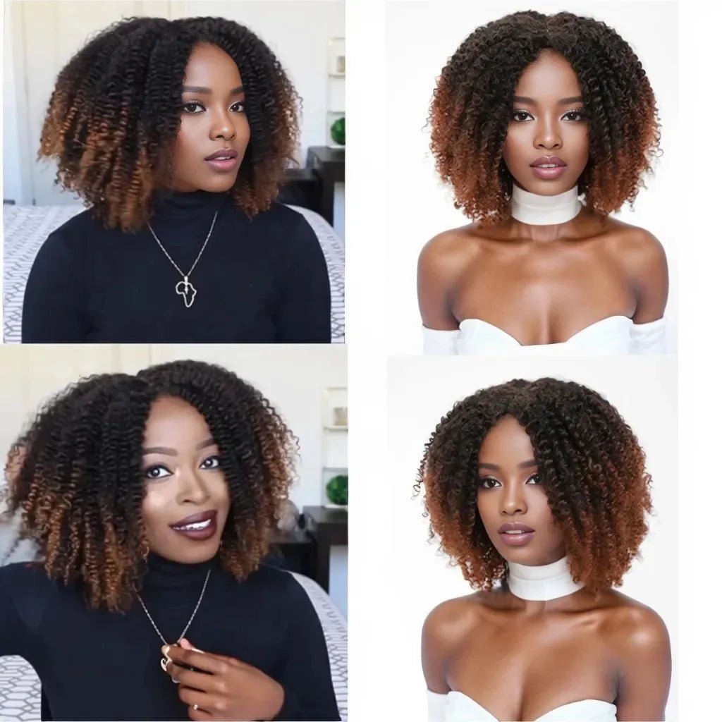 Chic Afro Kinky Curly Ombre Wig: Synthetic, Glueless, Ideal for Black Women - Flexi Africa Free Delivery www.flexiafrica.com