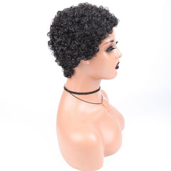 Short Afro Curly Synthetic Hair Wigs for Black Women Pixie Cut Wigs with Thin Hair - Free Delivery Worldwide only at Flexi Africa